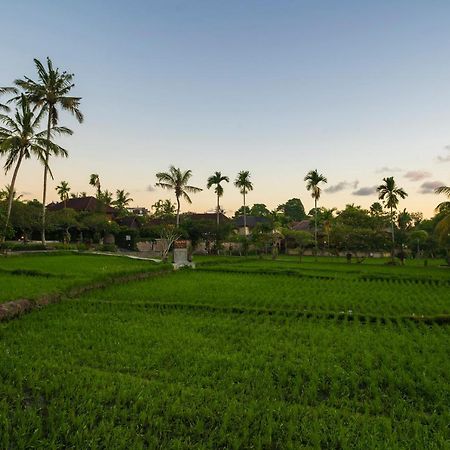 Agung Raka Villa Ubud Exteriér fotografie