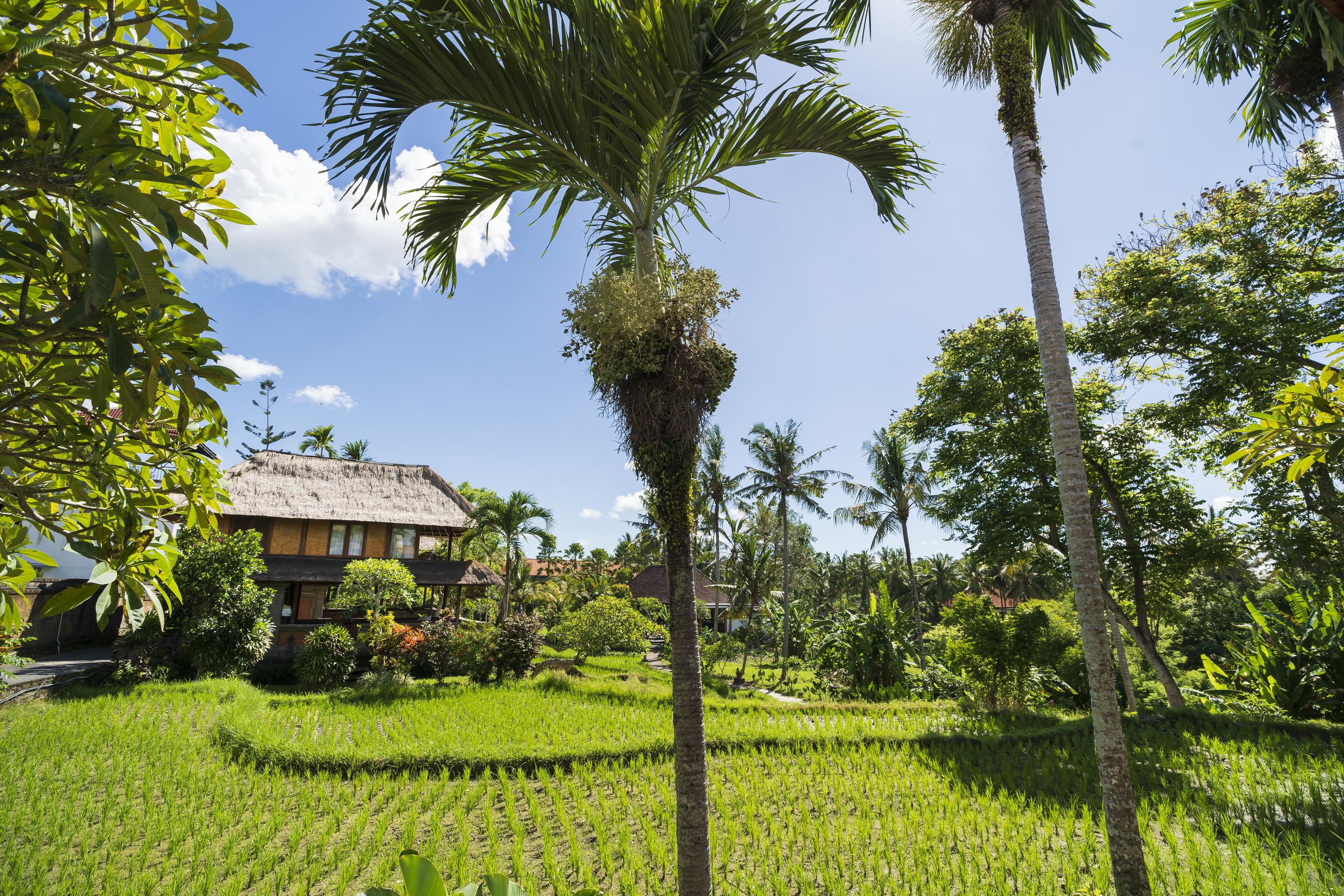 Agung Raka Villa Ubud Exteriér fotografie
