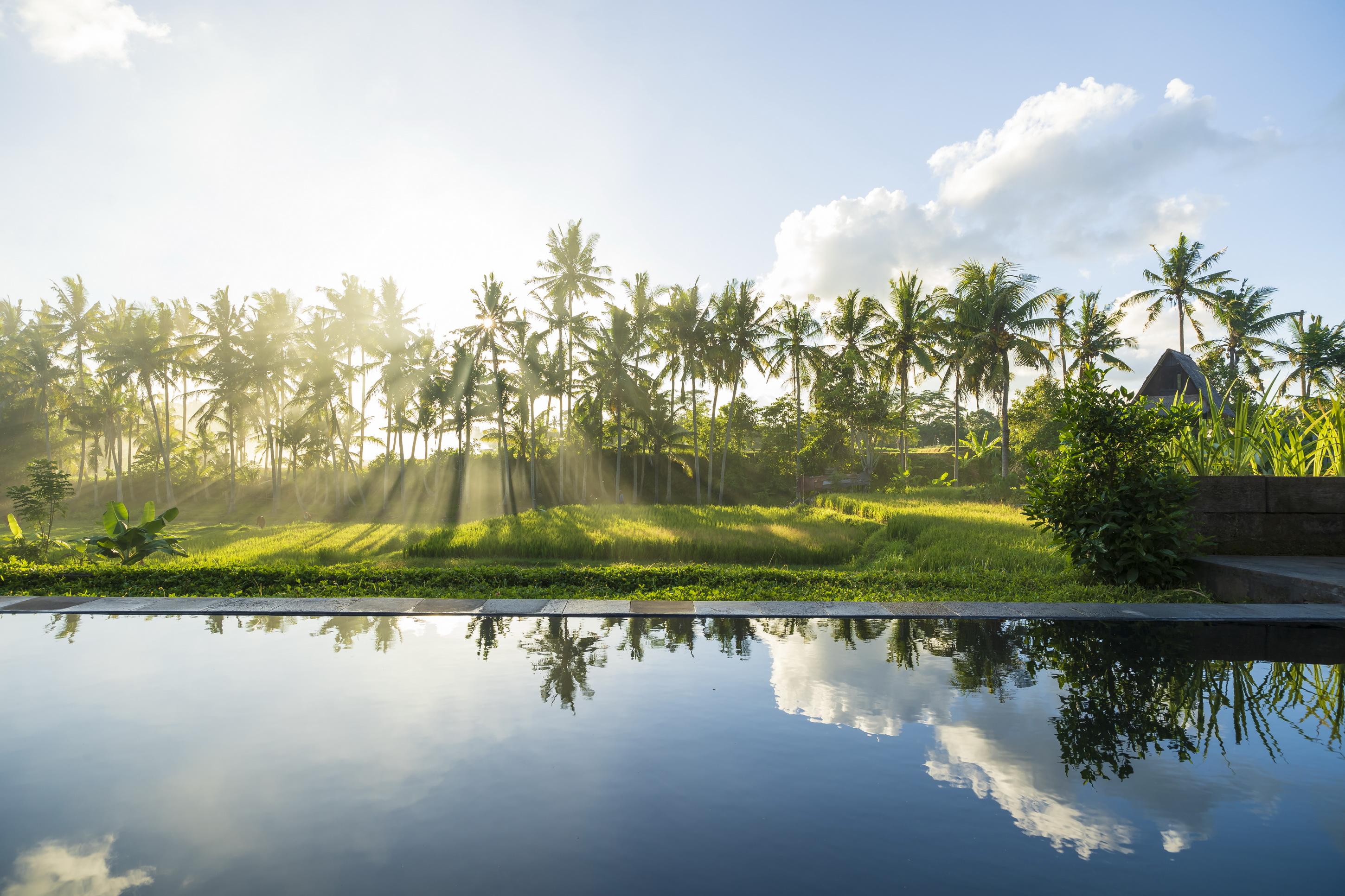 Agung Raka Villa Ubud Exteriér fotografie