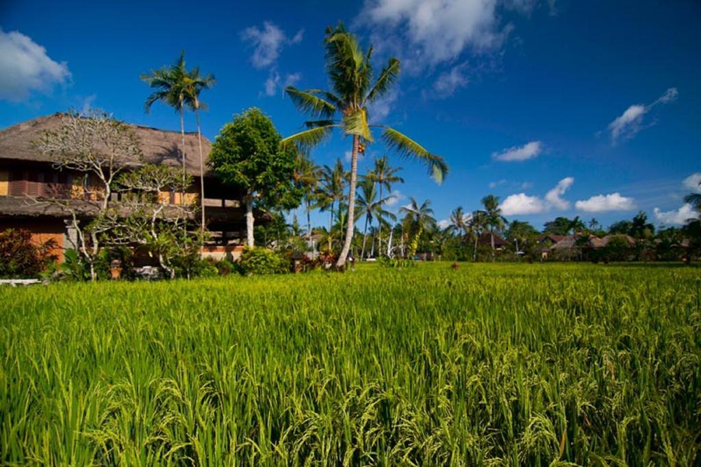Agung Raka Villa Ubud Exteriér fotografie