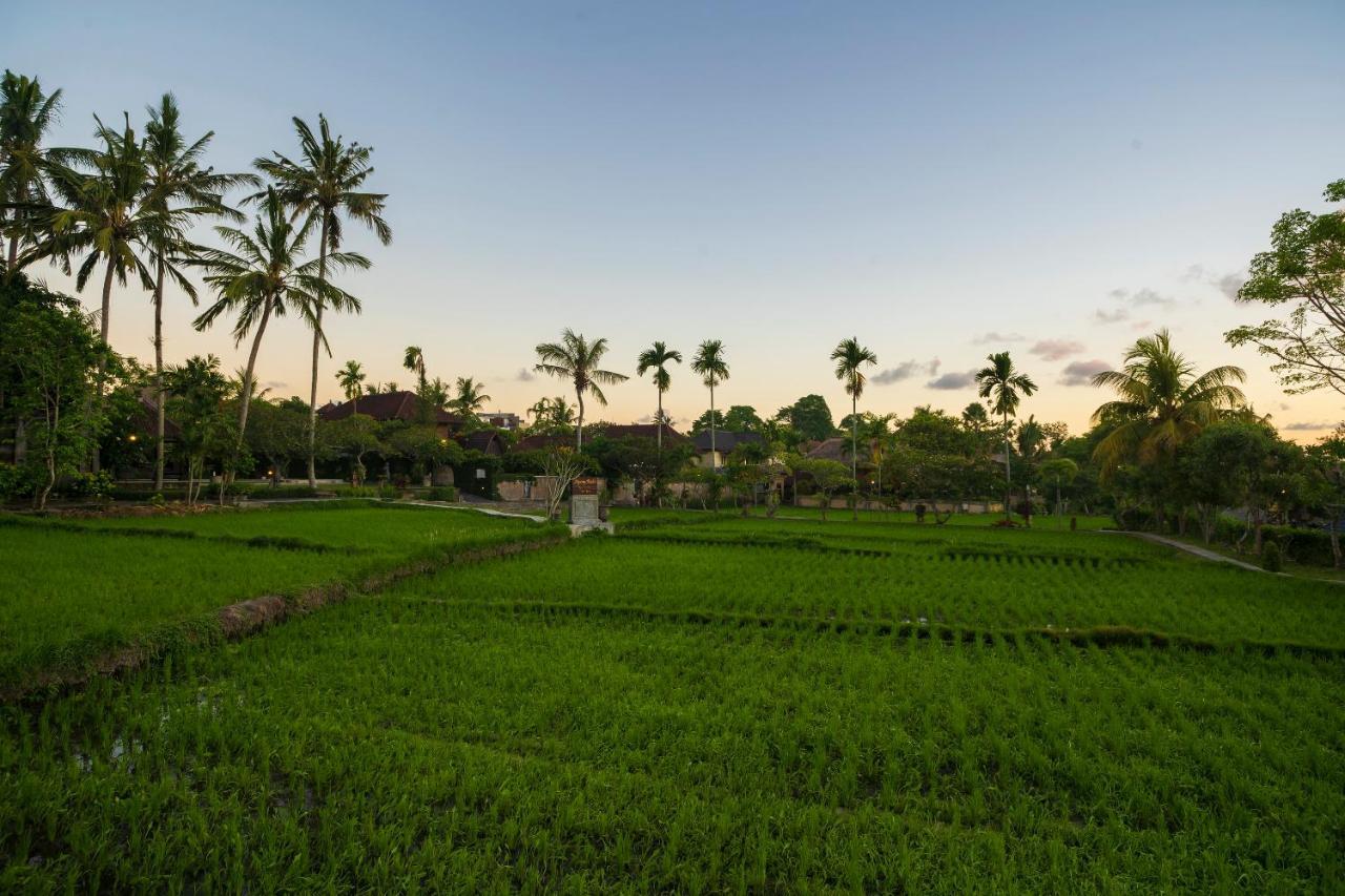 Agung Raka Villa Ubud Exteriér fotografie